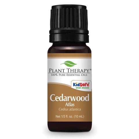 cedarwood atlas plant therapy essential oil