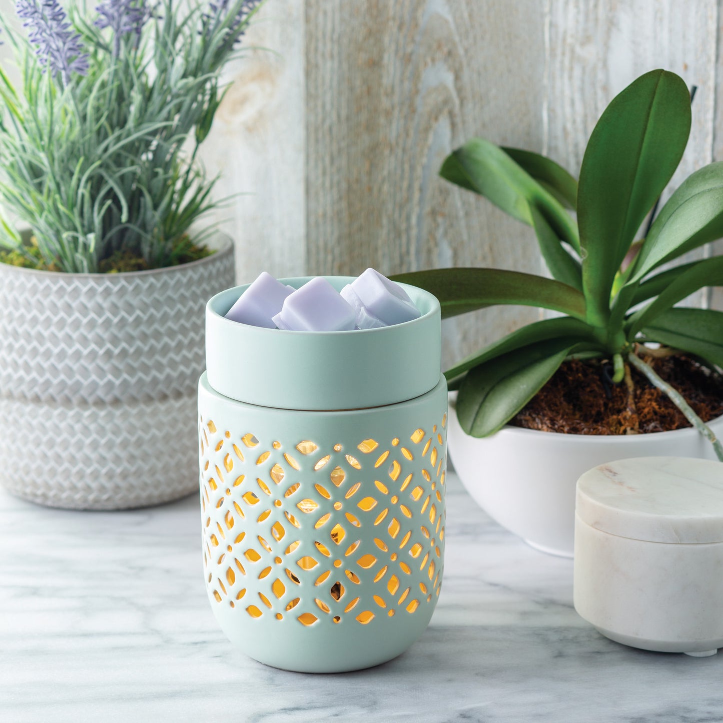 soft mint illumination fragrance warmer