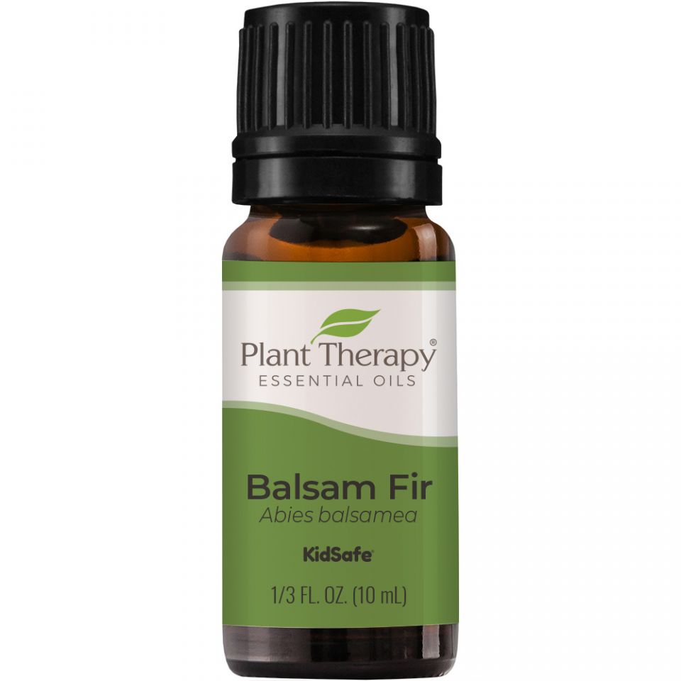balsam fir essential oil plant therapy