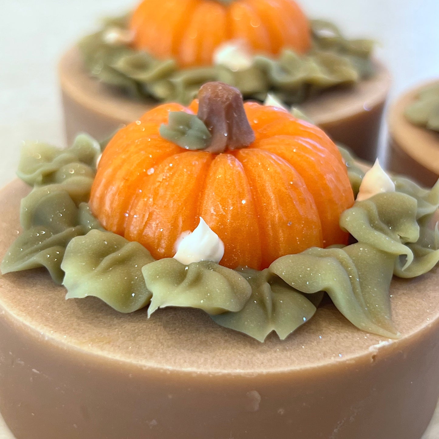 fall circle - bar soap
