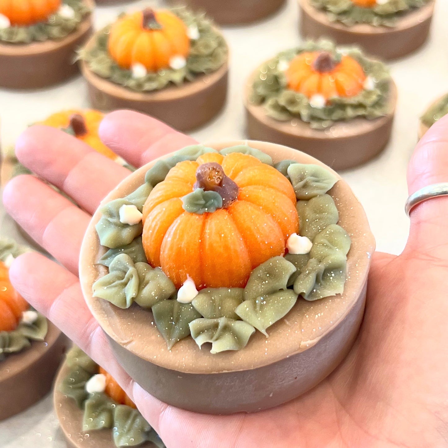 fall circle - bar soap