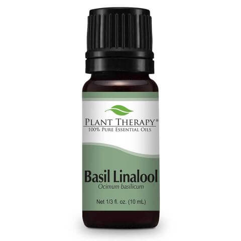 basil linalool essential oil plant therapy