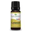cardamom essential oil plant therapy