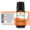 carrot seed essential oil plant therapy