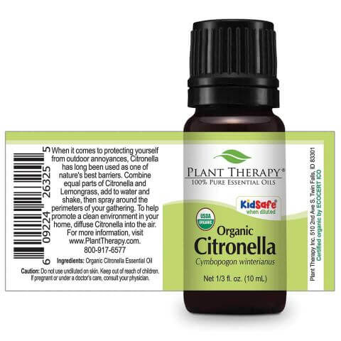 plant therapy essential oil organic citronella