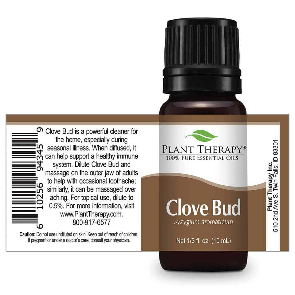 plant therapy essential oil clove bud