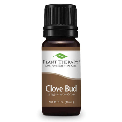 plant therapy essential oil clove bud