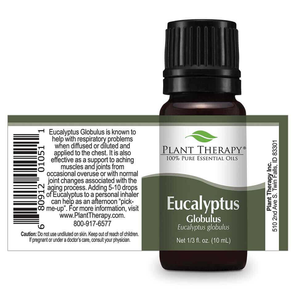 plant therapy essential oil eucalyptus globulus