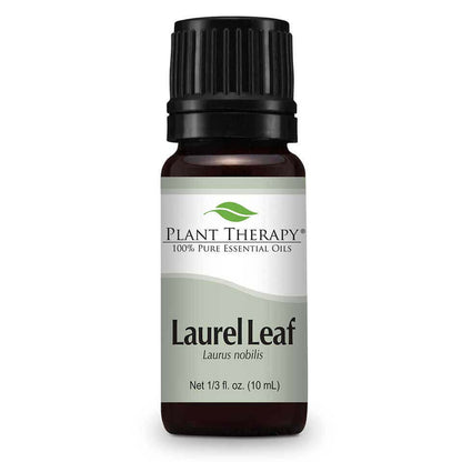 laurel leaf essential oil