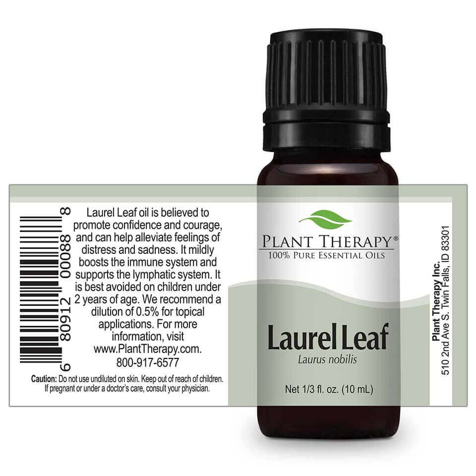 laurel leaf essential oil