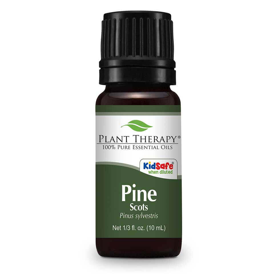 pine scots essential oil