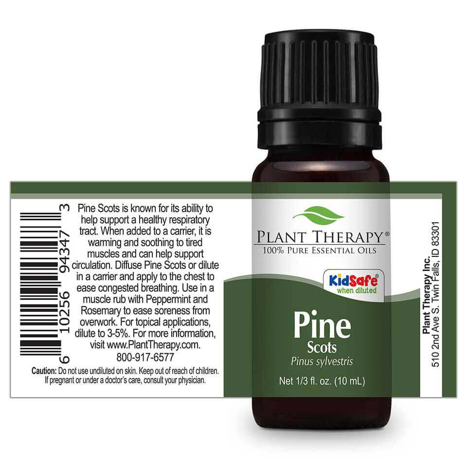 pine scots essential oil