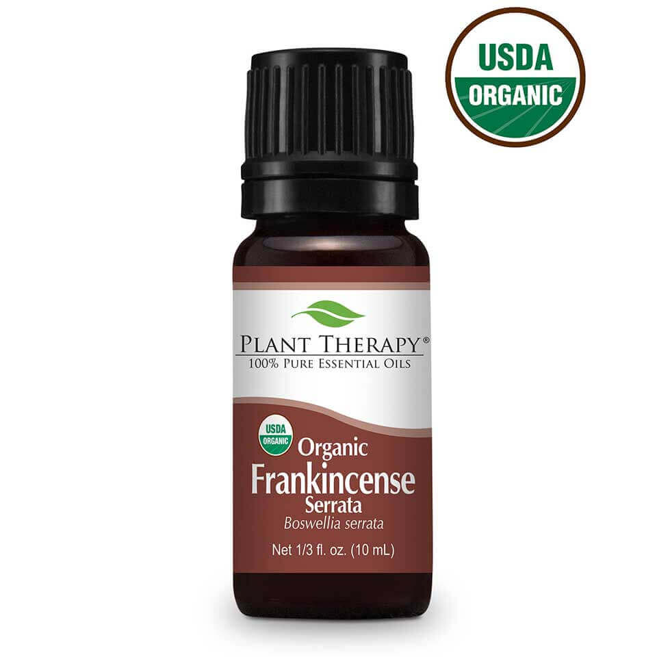 plant therapy essential oil frankincense serrata