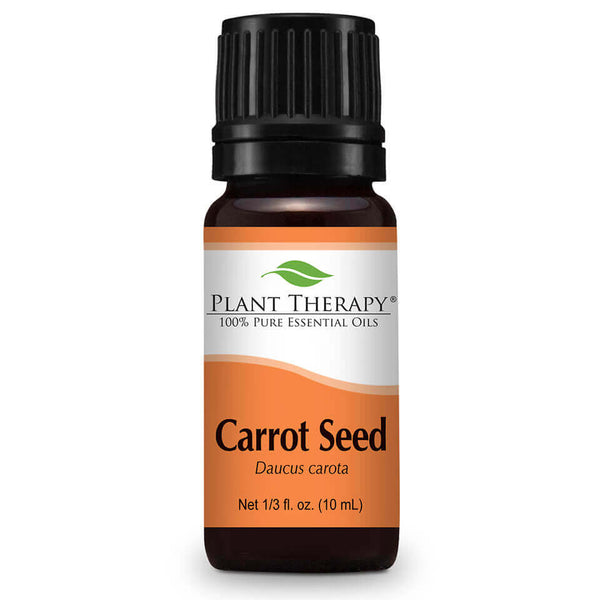 carrot seed essential oil plant therapy