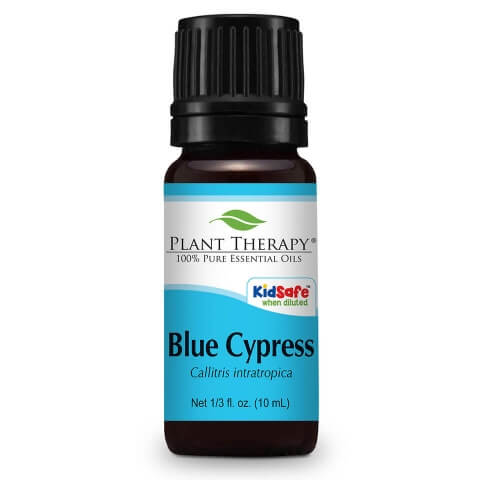 blue cypress essential oil plant therapy