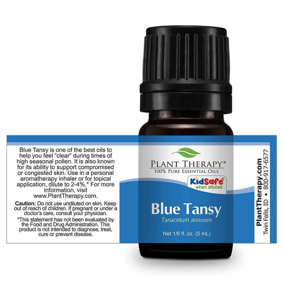 blue tansy essential oil plant therapy