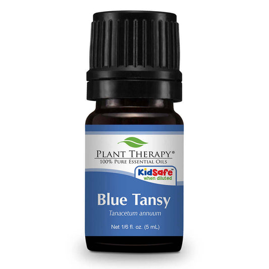 blue tansy essential oil plant therapy