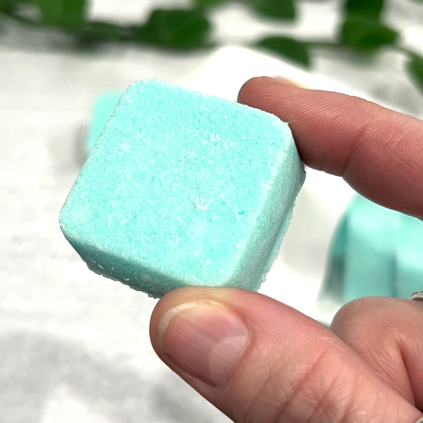 bath melt - eucalyptus & mint