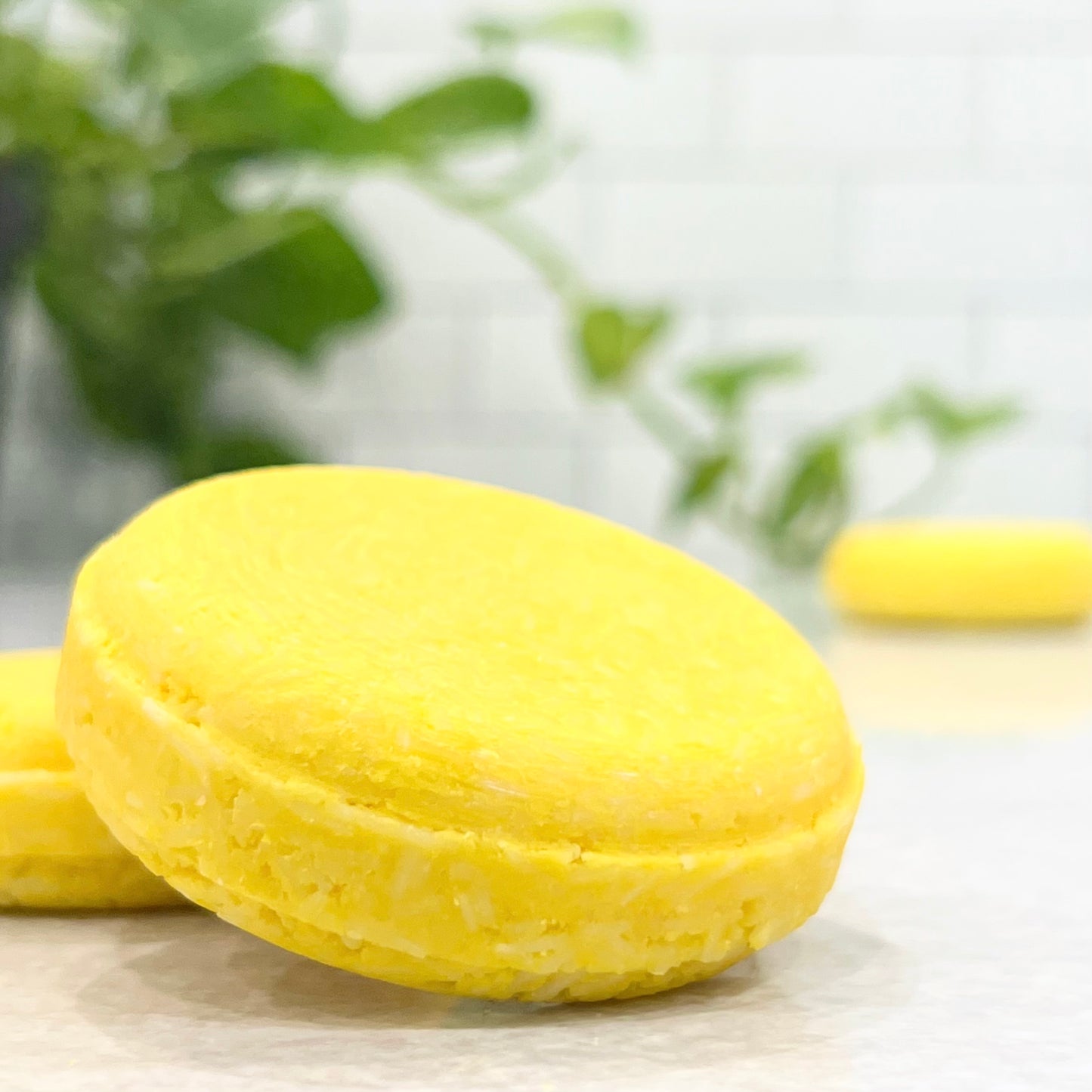 shampoo bars - lemon kissed