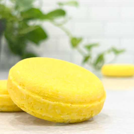 shampoo bars - lemon kissed